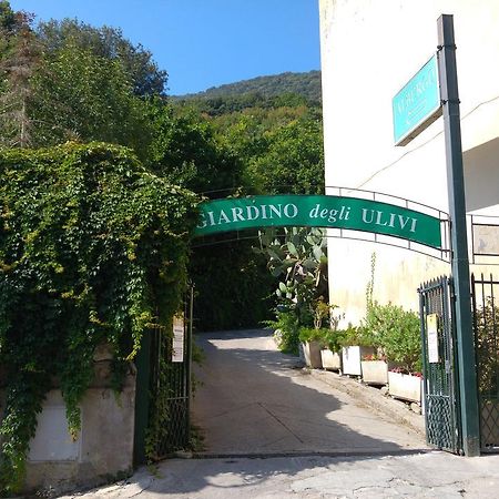 Hotel Giardino Degli Ulivi Сан Феличе Чирчео Екстериор снимка