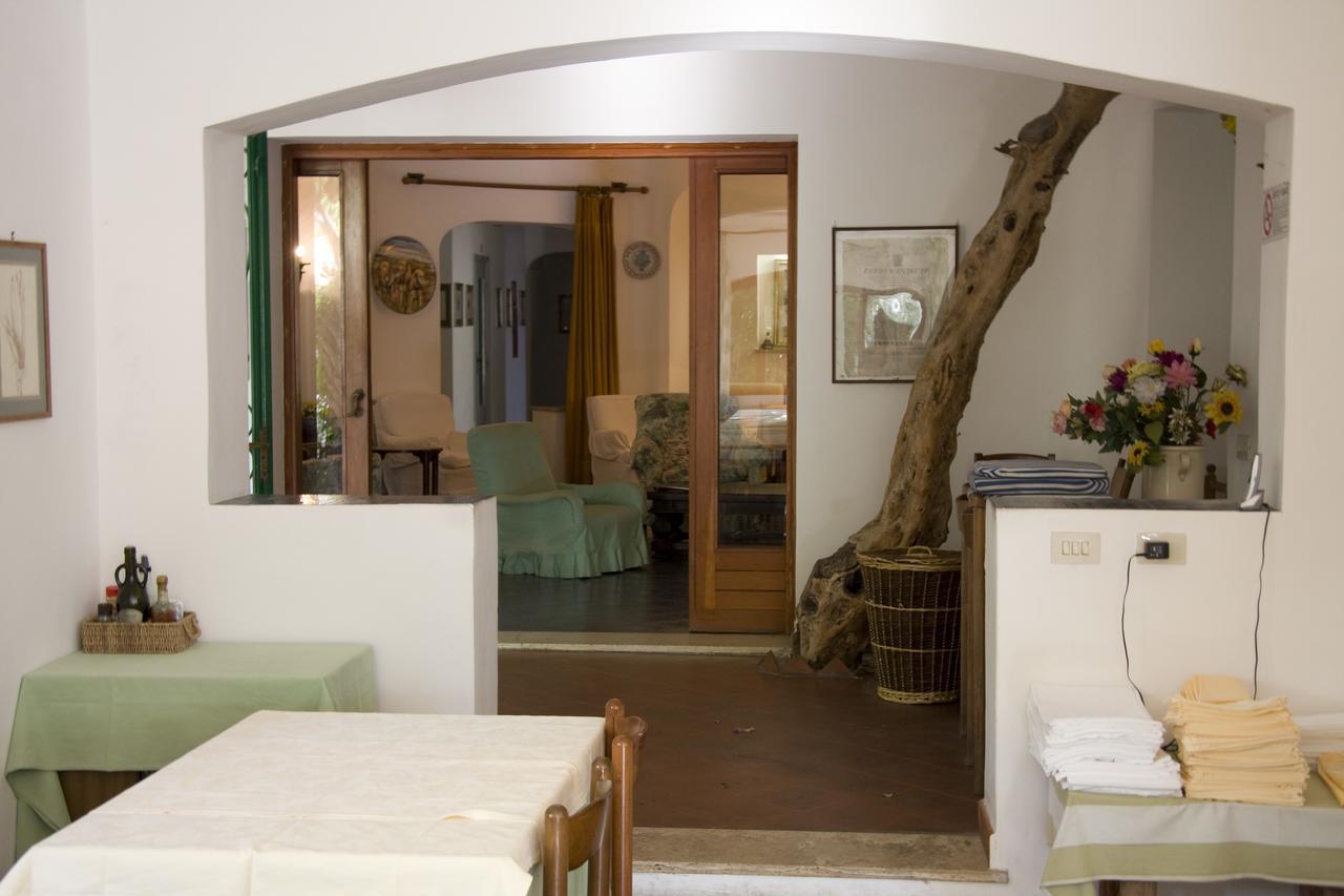 Hotel Giardino Degli Ulivi Сан Феличе Чирчео Екстериор снимка